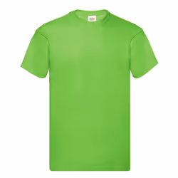 Fruit of the Loom Mens Original T-Shirt - M, Lime