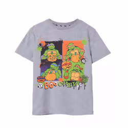 Teenage Mutant Ninja Turtles Childrens/Kids Boo Crew Marl T-Shirt - 13-14 Years, Grey