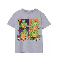 Teenage Mutant Ninja Turtles Childrens/Kids Boo Crew Marl T-Shirt - 13-14 Years, Grey