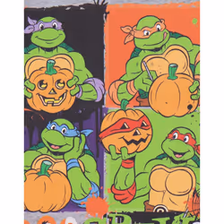 Teenage Mutant Ninja Turtles Childrens/Kids Boo Crew Marl T-Shirt - 13-14 Years, Grey