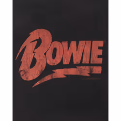 Amplified Mens David Bowie Logo Sweatshirt - XXL, Black