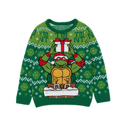 Teenage Mutant Ninja Turtles Boys Knitted Christmas Jumper - 9-10 Years, Green