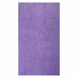 Mountain Warehouse Giant Micro-Towelling Towel - One Size, Dark Purple