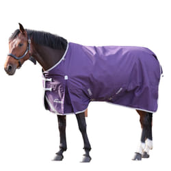 Highlander Original 100 Standard-Neck 100g Horse Turnout Rug - 6' 3", Plum