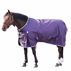 Highlander Original 100 Standard-Neck 100g Horse Turnout Rug - 7' 3", Plum