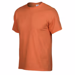 Gildan Unisex Adult Heavy Cotton T-Shirt - S, Sunset