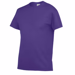 Gildan Unisex Adult Heavy Cotton T-Shirt - S, Lilac
