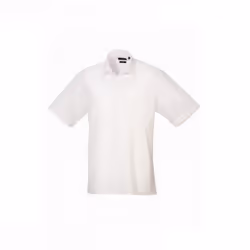 Premier Mens Short Sleeve Poplin Shirt - 19in, White