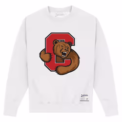Cornell University Unisex Adult Bear Sweatshirt - 5XL, White