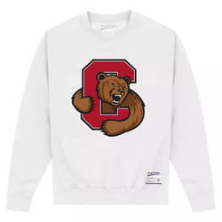 Cornell University Unisex Adult Bear Sweatshirt - 5XL, White
