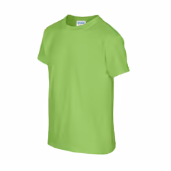 Gildan Childrens/Kids Heavy Cotton T-Shirt - XS, Lime