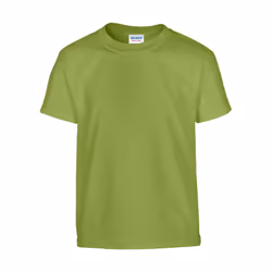 Gildan Childrens/Kids Heavy Cotton T-Shirt - XS, Kiwi