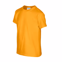 Gildan Childrens/Kids Heavy Cotton T-Shirt - XS, Gold
