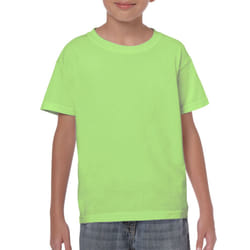 Gildan Childrens/Kids Heavy Cotton T-Shirt - XS, Mint Green
