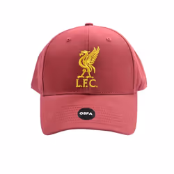 Liverpool FC Mass Basic Liver Bird Cap - One Size, Dark Red