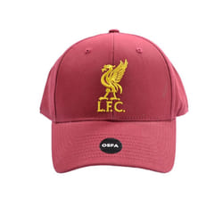 Liverpool FC Mass Basic Liver Bird Cap - One Size, Dark Red