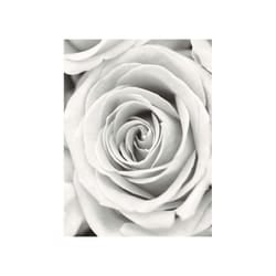 Del Frank Krahmer Rose Canvas Print