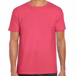 Gildan Mens Short Sleeve Soft-Style T-Shirt - 2XL, Heliconia