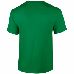 Gildan Mens Short Sleeve Soft-Style T-Shirt - 2XL, Irish Green