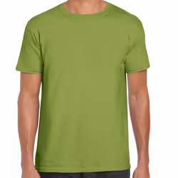 Gildan Mens Short Sleeve Soft-Style T-Shirt - 2XL, Kiwi