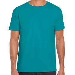 Gildan Mens Short Sleeve Soft-Style T-Shirt - M, Jade Dome