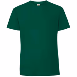 Fruit Of The Loom Mens Iconic 195 Ringspun Premium Tshirt - 2XL UK, College Green