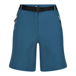 Regatta Womens/Ladies Xert III Stretch Shorts