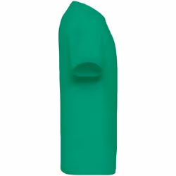 Fruit of the Loom Mens Value V Neck T-Shirt - M, Kelly Green