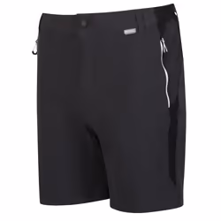 Regatta Mens Mountain II Shorts - 40R, Ash/Black
