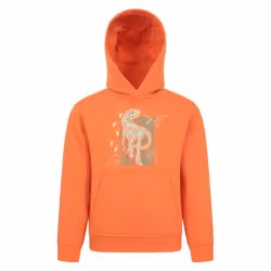 Mountain Warehouse Childrens/Kids Dinosaurs Organic Glow In The Dark Hoodie - 7-8 Years, Orange