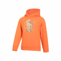 Mountain Warehouse Childrens/Kids Dinosaurs Organic Glow In The Dark Hoodie - 7-8 Years, Orange