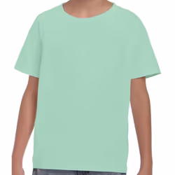 Gildan Childrens/Kids Plain Cotton Heavy T-Shirt - 12-13 Years, Mint