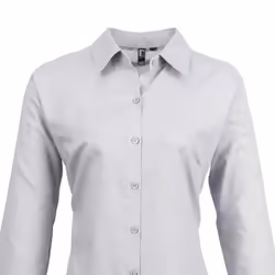 Premier Womens/Ladies Signature Oxford Long-Sleeved Shirt - 14 UK, Silver
