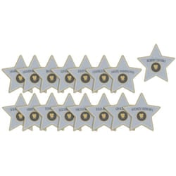 Amscan Honeycomb 1st Birthday Decoration (Pack of 16)