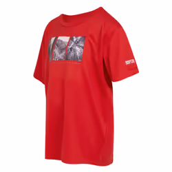 Regatta Childrens/Kids Alvarado VIII Cycling T-Shirt - 7-8 Years, Danger Red