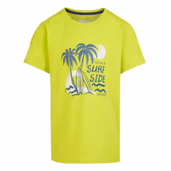 Regatta Childrens/Kids Bosley VII Surfboard T-Shirt - 14 Years, Citron Lime