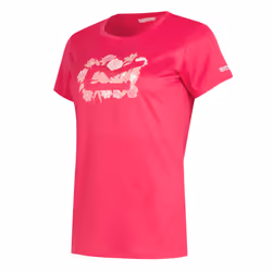 Regatta Womens/Ladies Fingal VIII Floral T-Shirt - 10 UK, Pink Potion