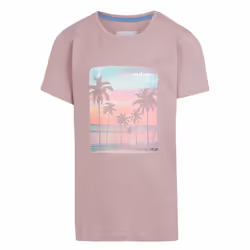 Regatta Childrens/Kids Bosley VII Happy Days Of Summer Beach T-Shirt - 15-16 Years, Heather