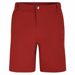 Dare 2B Mens Tuned In II Multi Pocket Walking Shorts - 38in, Syrah Red