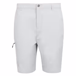 Regatta Mens Dalry Multi Pocket Shorts - 30R, Silver Grey