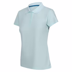 Regatta Womens/Ladies Maverick V Polo Shirt - 12 UK, Bleached Aqua