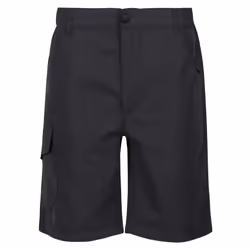 Regatta Childrens/Kids Sorcer II Shorts - 14 Years, Seal Grey