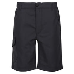 Regatta Childrens/Kids Sorcer II Shorts - 14 Years, Seal Grey