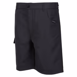 Regatta Childrens/Kids Sorcer II Shorts - 14 Years, Seal Grey