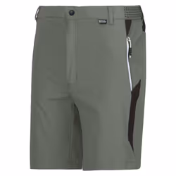 Regatta Mens Mountain II Shorts - 40R, Agave Green/Ash