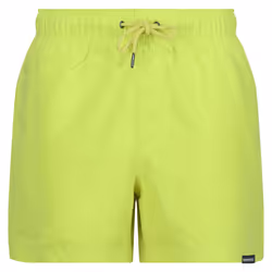 Regatta Mens Mawson II Swim Shorts - XL, Citron Lime