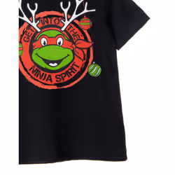 Teenage Mutant Ninja Turtles Boys Get Into The Ninja Spirit T-Shirt - 13-14 Years, Black