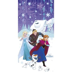 Frozen Crystal Palace Paper Door Poster