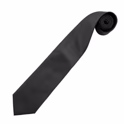 Premier Mens Colours Fashion Tie - One Size, Black