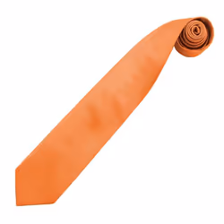 Premier Mens Colours Fashion Tie - One Size, Orange